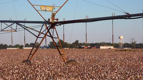 a water irrigation system in cotton growing in a field in the mississippi river delta region with small town distant