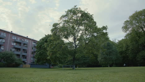 Banco-Vacío-Bajo-Un-árbol-Solitario-En-Un-Parque-De-Oslo