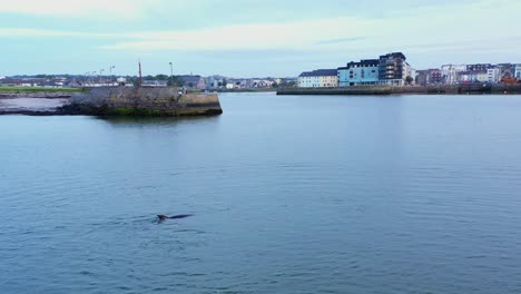 Vom-Meer-Aus-In-Der-Bucht-Von-Galway-Geschossen