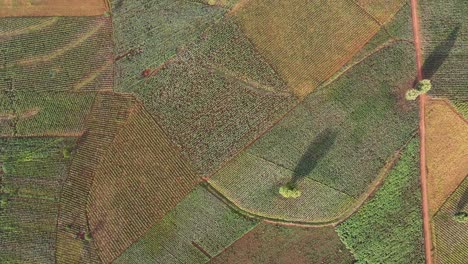 farm-farmland-landscape-rural