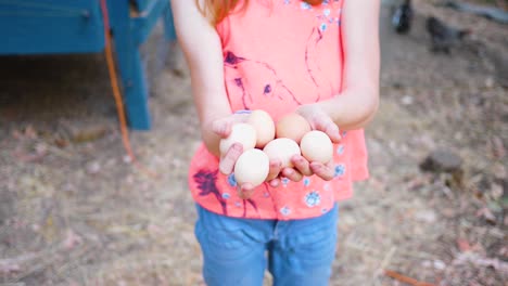 collecting eggs from backyard chickens