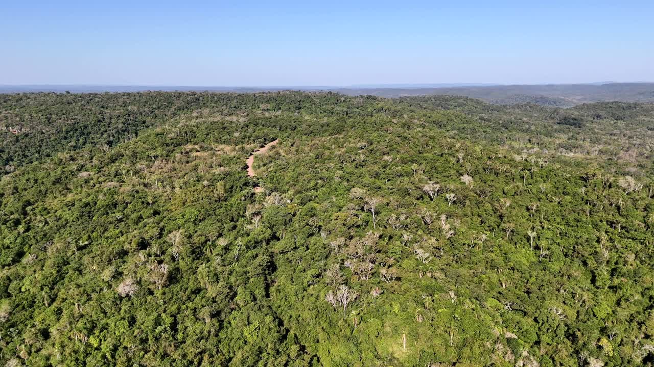 아마존 열대 우림, 브라질, 남아메리카