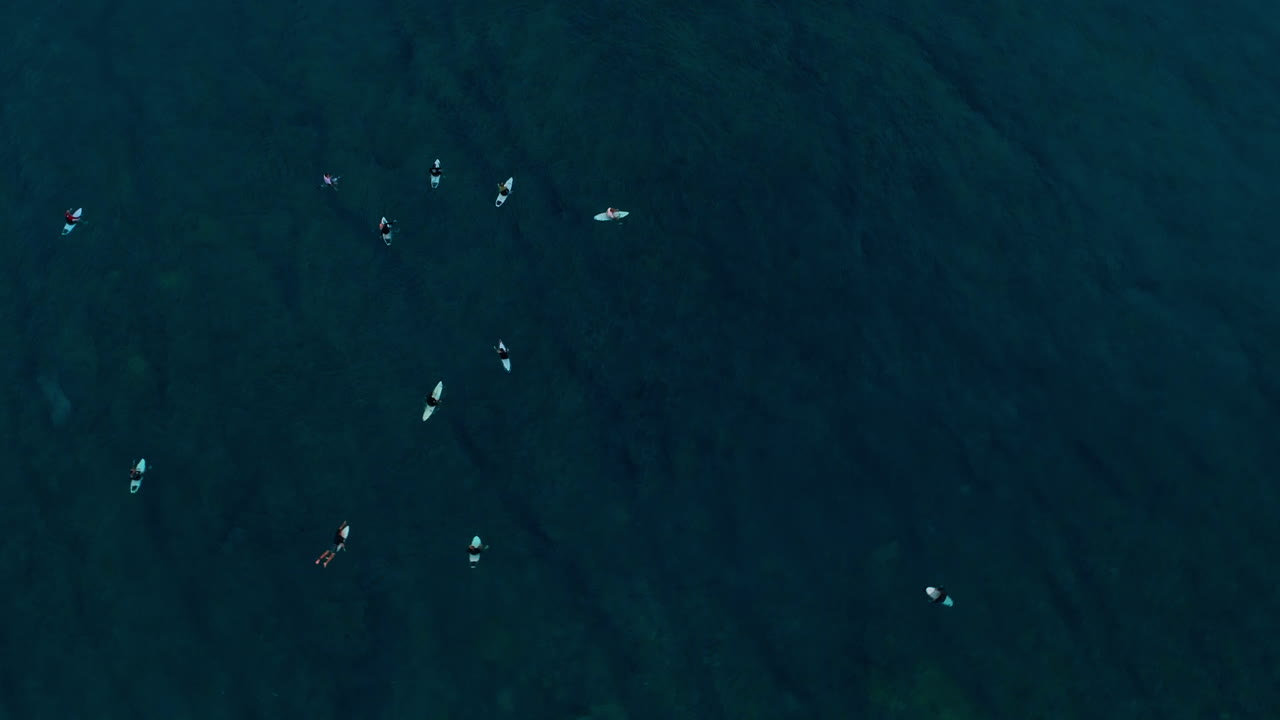 드론 상단에서 아래로 서퍼의 공중 촬영 라인업에서 기다리고, 어두운 바다 물에서 화이트 보드