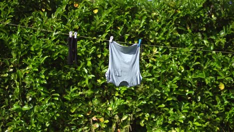 Ein-Einzelnes-T-Shirt,-Das-Auf-Einer-Wäscheleine-In-Einem-Garten-Trocknet