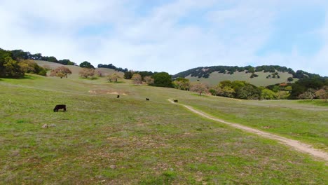 Exploring-Serene-Hillside-Hiking-Trails