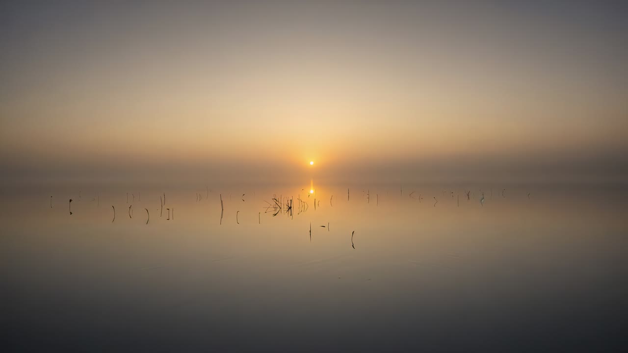 Rising central sun brightening and elongating reflection over marsh at sunrise, mist clearing reeds