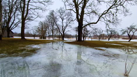 reflected iced lake skateboarding point of view slow motion dry trees landscape in winter, flying drone aerial above cold lake frozen river water