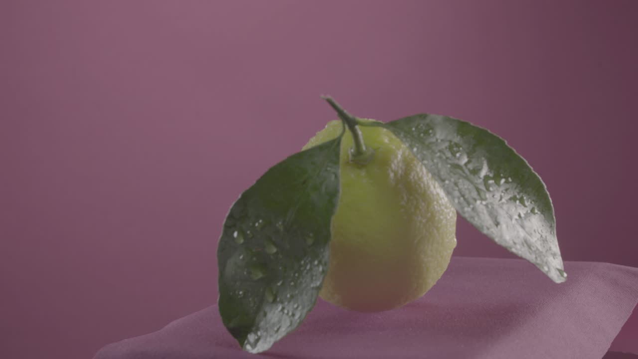 limón girando con bucle en la pantalla de fucsia para la llave de croma