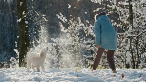 an active middle-aged woman plays with a golden retriever in a winter park, throwing snow at the pet. having a good time together