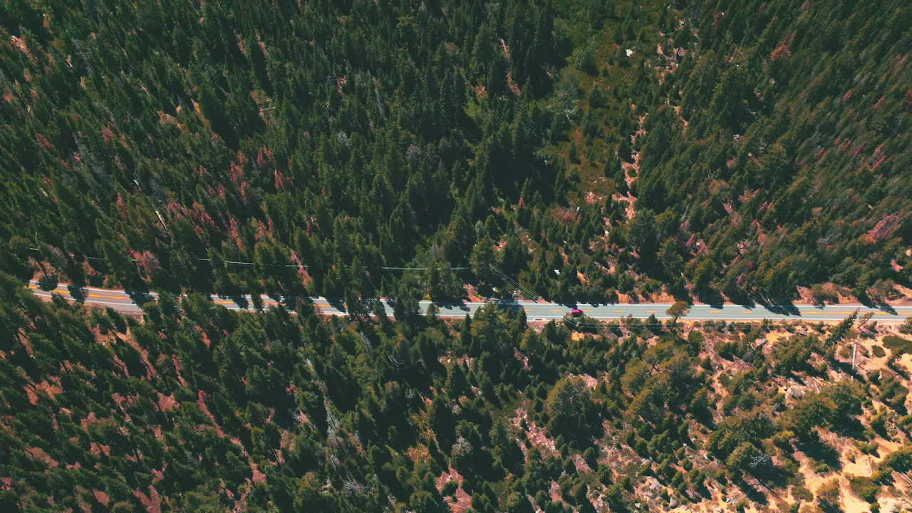 Rocky landscape covered with pine trees. Speed highway crossing the wildlife forest on sunny day footage. Top view.