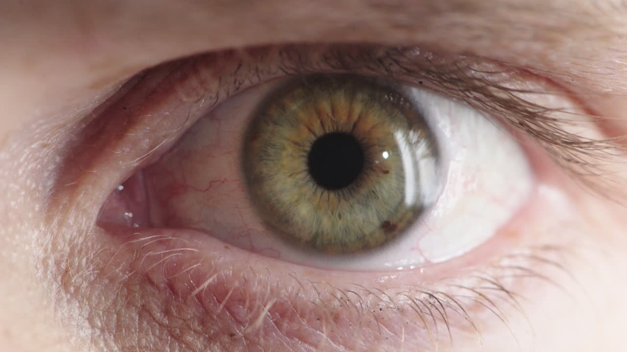 가까운 사람의 눈이 이리스를 열고 수축합니다. 놀란 것처럼 보입니다. 충격을 받았습니다.