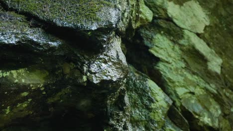 water drips over stones along wissahickon creek