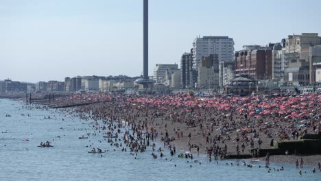 brighton beach in heatwave crowded with people relaxing in the hot sun, cooling off in the sea with i360 in background