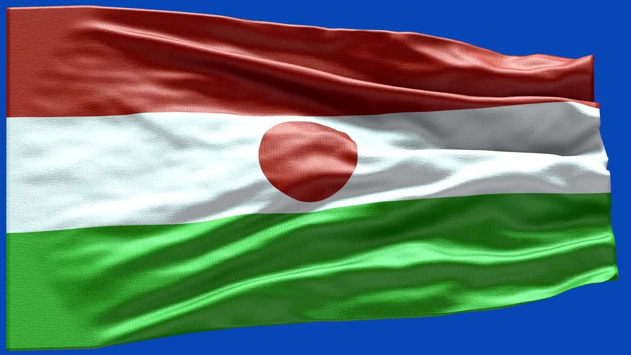 4k bandera muy detallada de níger - bandera de níger alto detalle - bandera nacional patrón de ondas de níger elementos en bucle