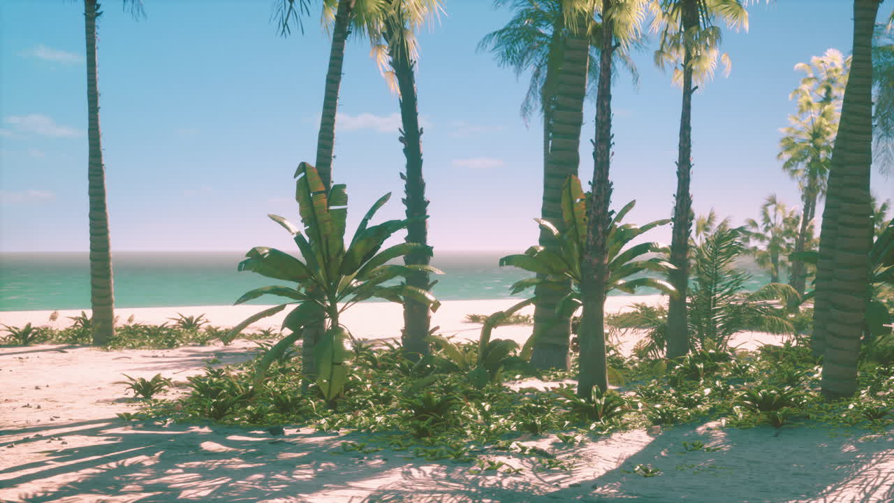 Tropical Beach Paradise: Palm Trees, White Sand, and Azure Ocean