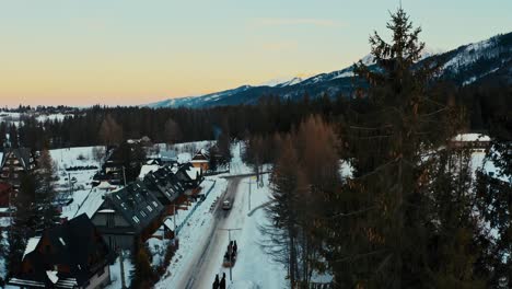 pine tree drone aerial view of horse sleigh ride in winter snow polish mountains