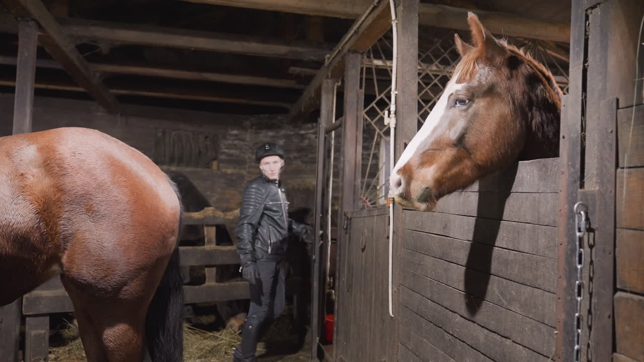 Caretaker watches horse. Observer assesses animal stance closely. Person monitors equine position in stable environment. Handler examines horse posture amid snowy barn setting with shadows