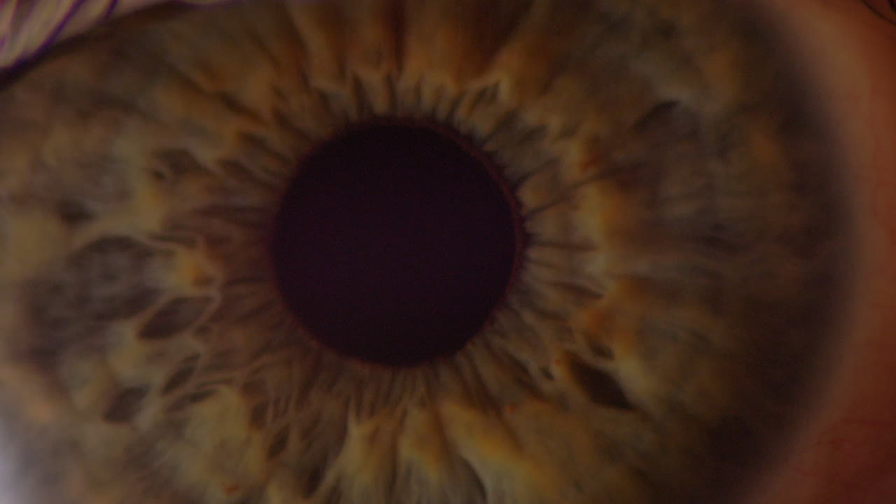 primer plano extremadamente detallado de la pupila y el iris, macro de anatomía del ojo humano