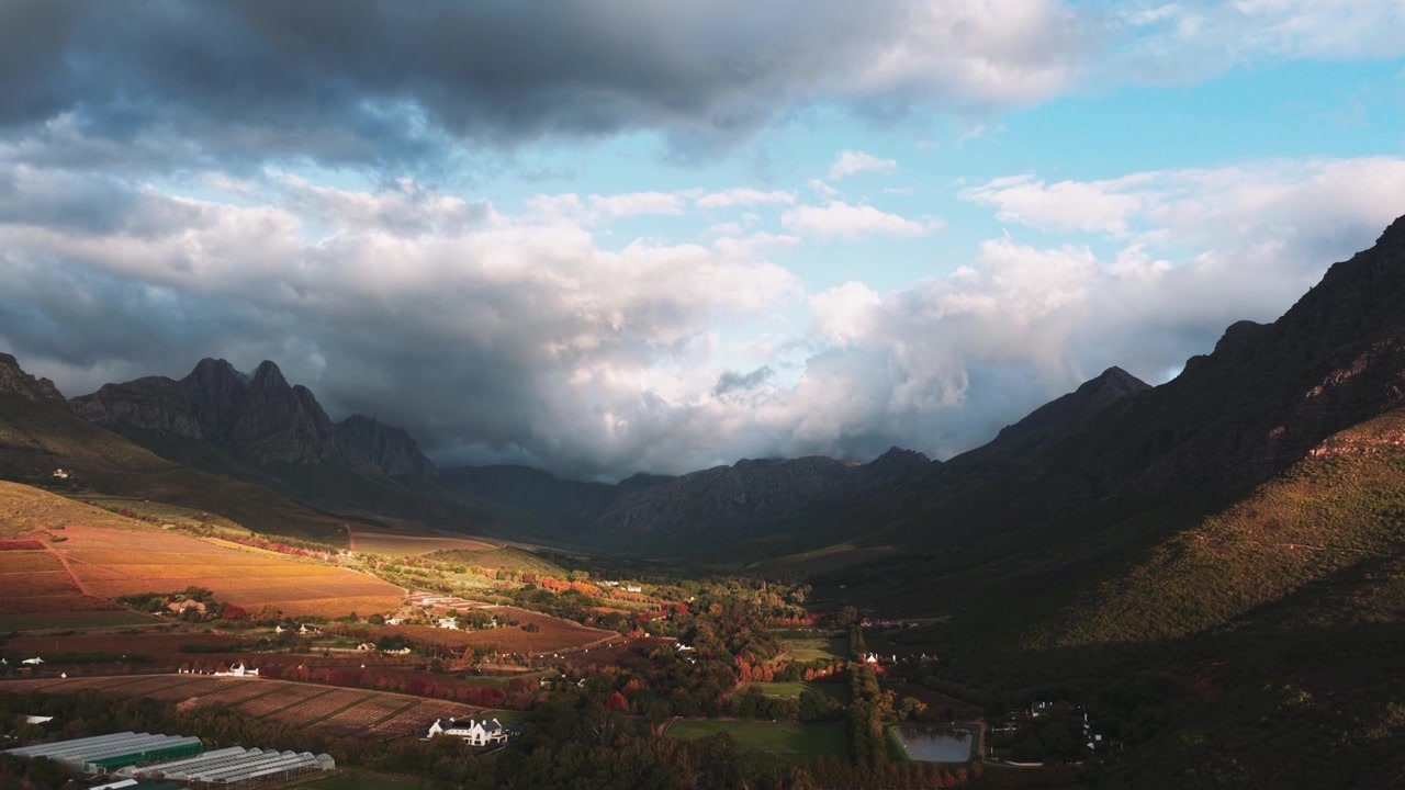Vigneti aerei in valle montuosa, Ampio 4K