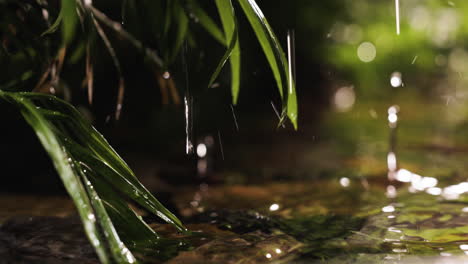 plantas en la orilla del río