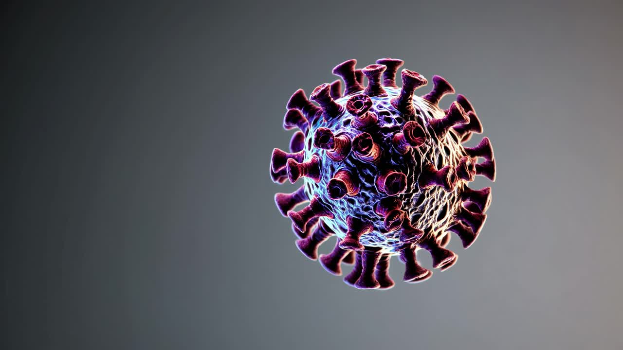 estructura del coronavirus