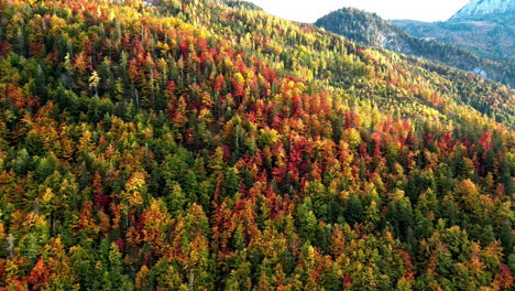 Aerial-Drone-View-of-Vibrant-Colourful-Autumn-Mountain-Foliage-and-Trees