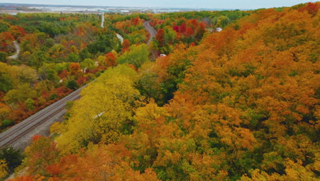 fpv aerial drone view flying over colorful, vivid autumn leaves