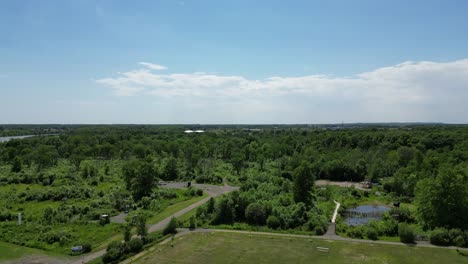 ascending pedestal shot of soccer field near large thick lush forest