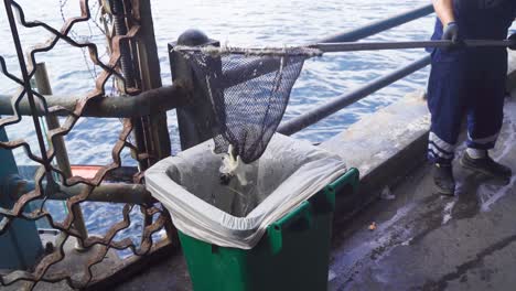 Tomar-La-Importancia-De-La-Contaminación-Marina.