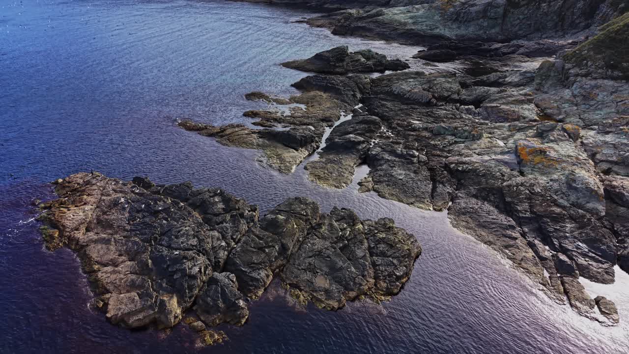 Aerial view of rocky coastline meeting calm waters at dawn