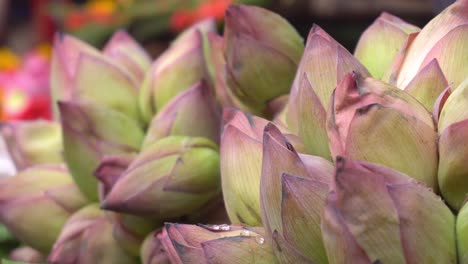 a bunch of lotus flowers are being sold in the market mallik bazar or jagannath ghat