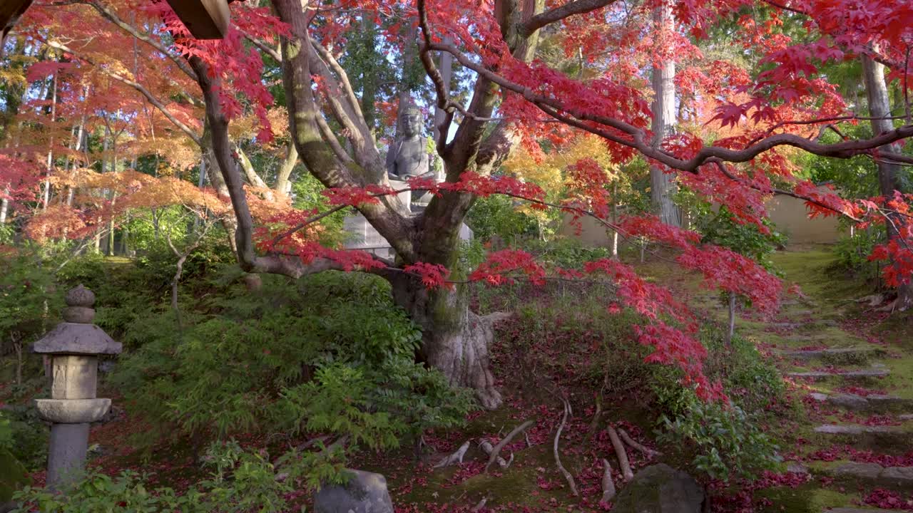 increíble empujón cinematográfico hacia la estatua de buda en el santuario en japón durante el otoño