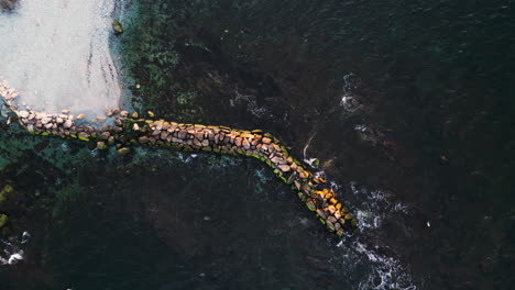 drone de arriba hacia abajo asciende por encima del rompeolas cubierto de algas verdes al amanecer