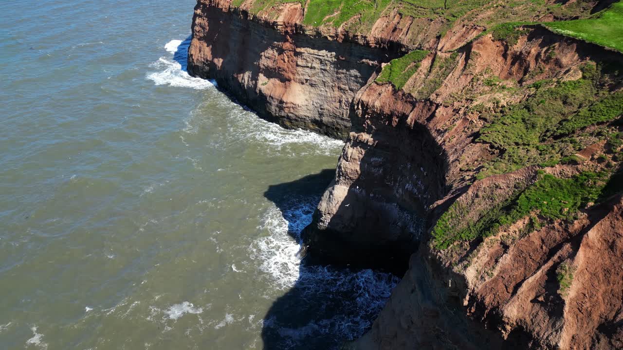 Native seagull birds flying in large groups around the very steep and high cliffside on the coastline hiding in the shadows on clear sunny day with drone