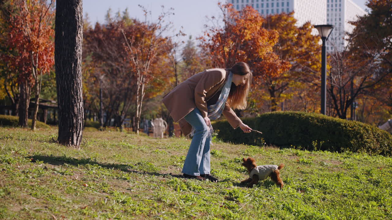 Woman Playing with Her Poodle Dog in an Autumn Park