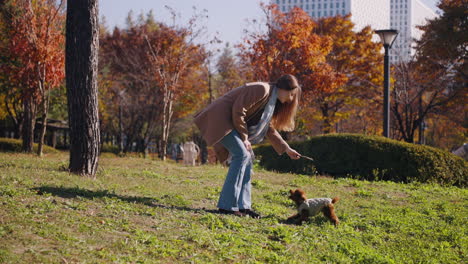 woman playing with her poodle dog in an autumn park