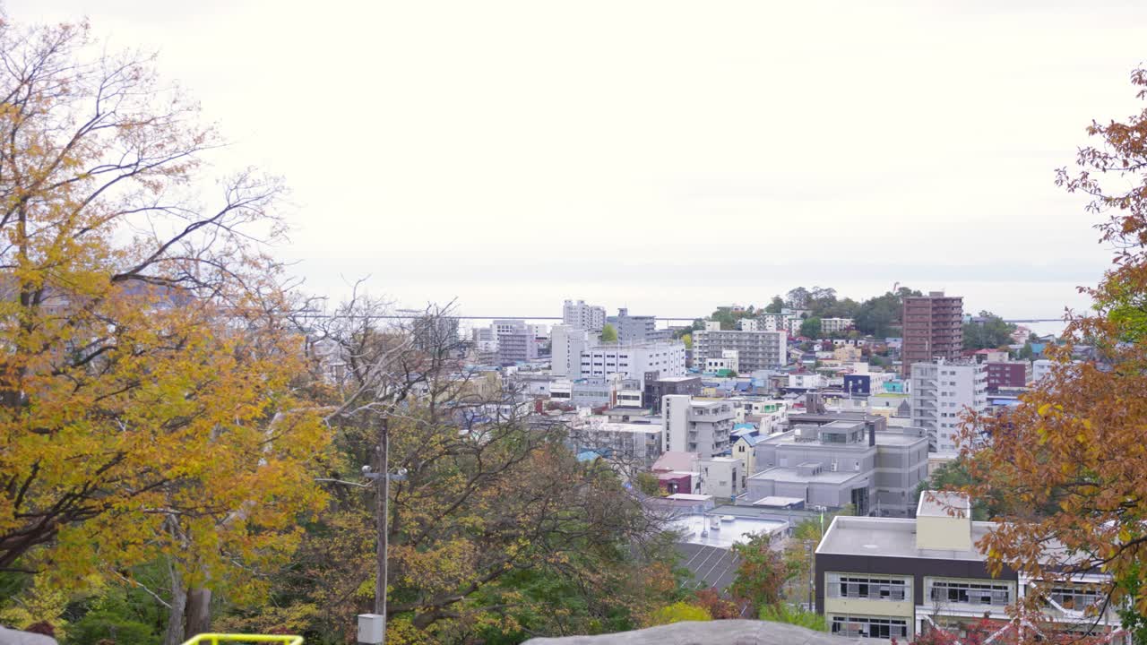 오타루 최고의 뷰