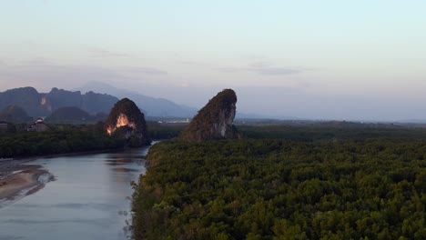 el río del manglar de la noche krabi tailandia