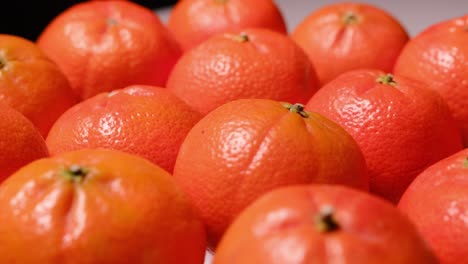 fresh orange slices beautifully arranged for a vibrant summer snack or dessert decoration. bright orange slices are artistically laid out, showcasing their juicy texture and vibrant color, perfect for summer recipes or refreshing snacks. enjoy this burst of citrus goodness