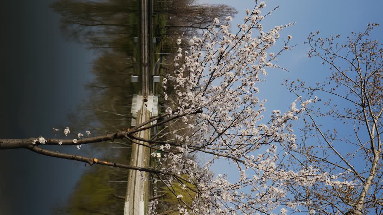 공공 공원에서 수직으로  ⁇