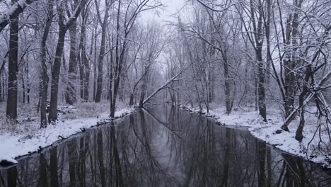 snow covered forest trees reflecting on calm water of river, cold winter day