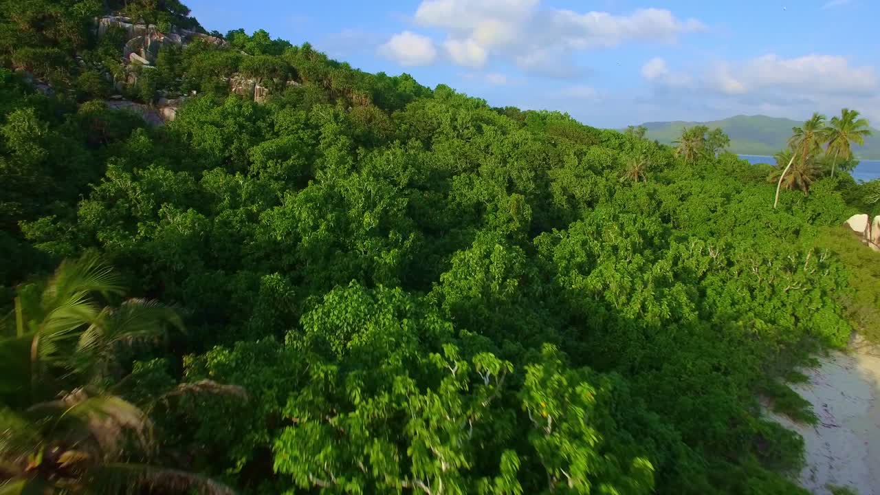 pájaros volando sobre una isla tropical remota