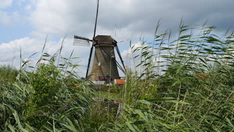 shot of typical dutch mill between green grasses and a small stream