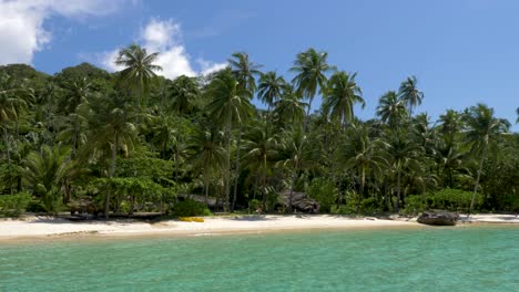 amplia toma de playa de arena blanca con palmeras de coco
