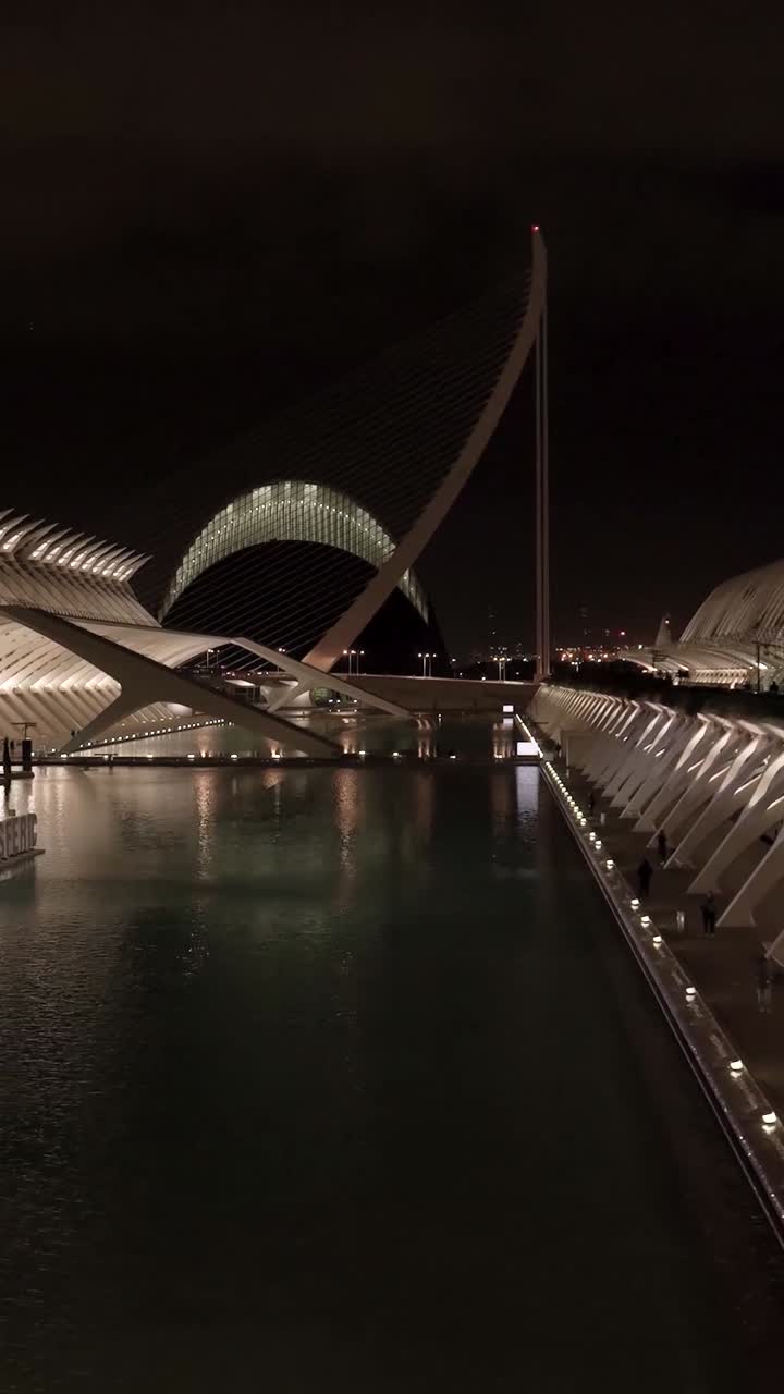 Night view of the Science Museum of Valencia