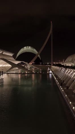night view of the science museum of valencia