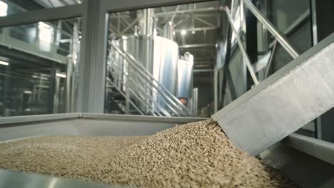 modern craft brewery. malt for beer production. craft beer brewing. modern equipment at the brewery.