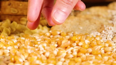 hand picking popcorn kernels