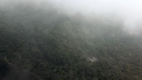 drone volando en las nubes sobre la selva tropical en java, indonesia