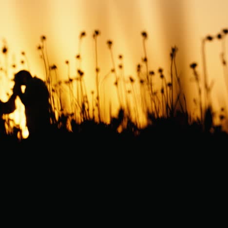 Silhouette-Of-A-Loving-Pregnant-Couple-At-Sunset